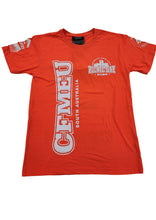Load image into Gallery viewer, Hi Vis Picnic Day 2022 T-Shirts